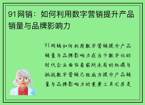 91网销：如何利用数字营销提升产品销量与品牌影响力